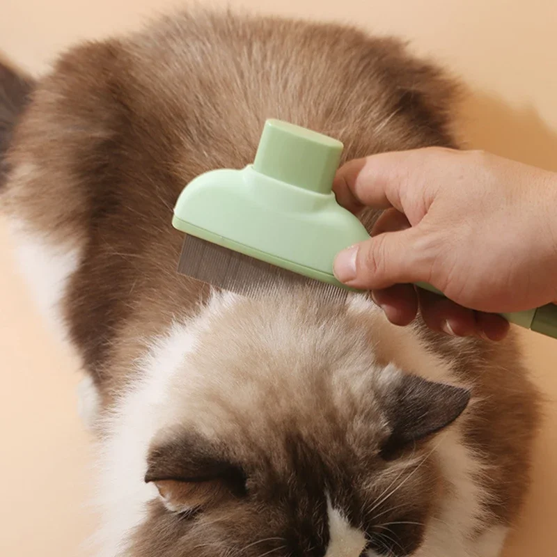Pet Cat Comb Cat and Dog Hair  - Makeup Beauty Ro recension och pris